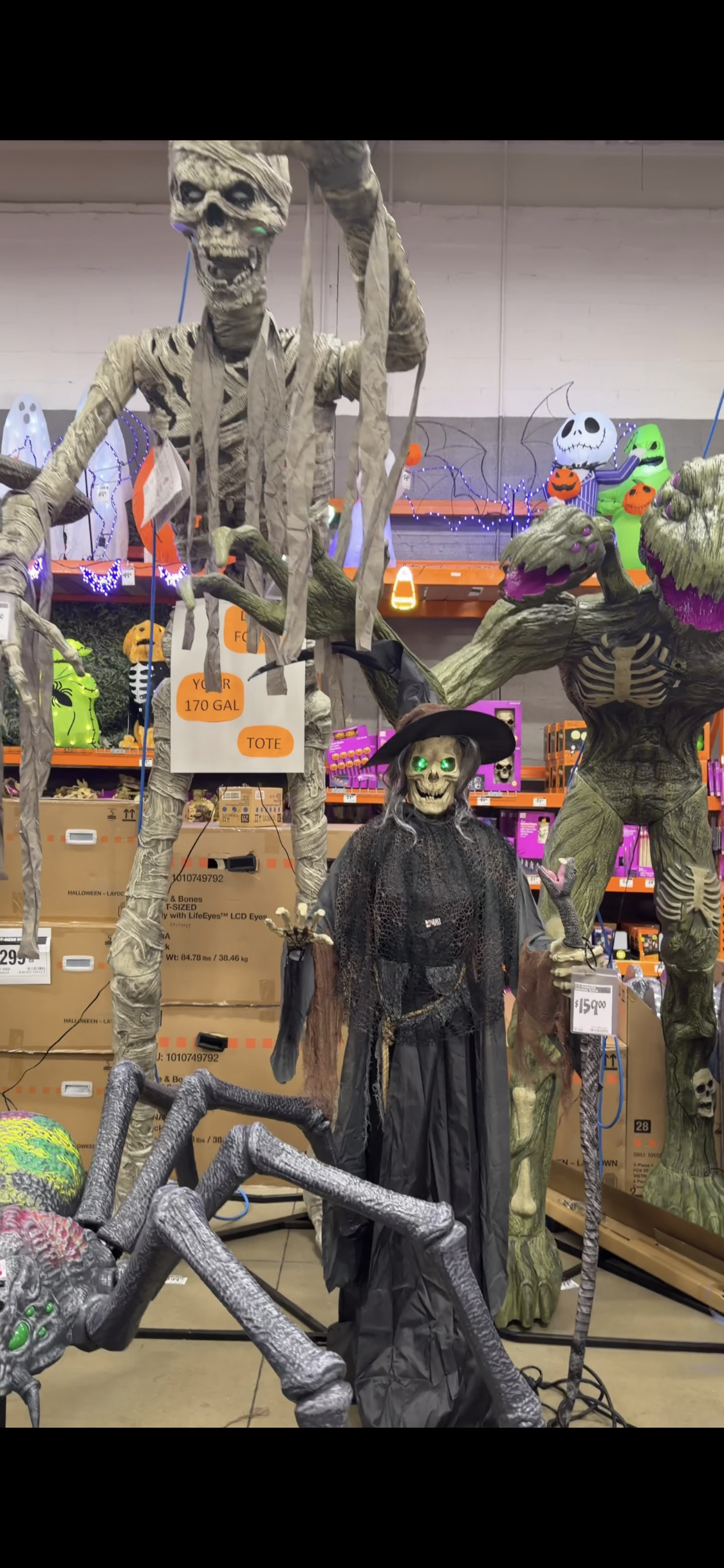Halloween Decorations - Home Depot