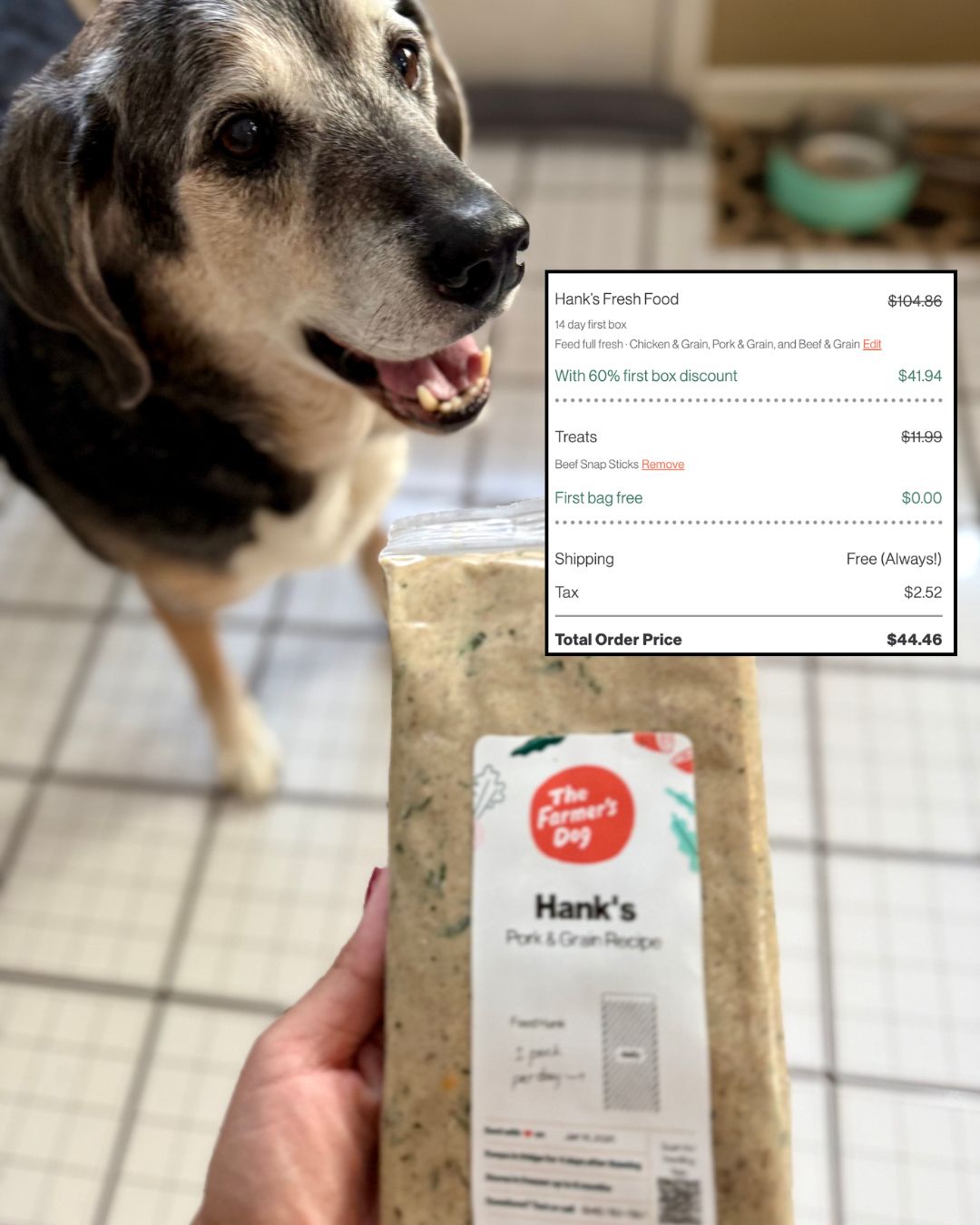 The Farmer's Dog